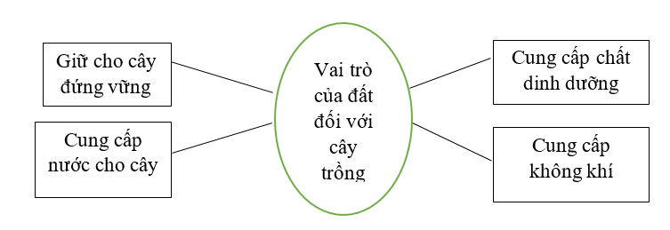 Điền vào chỗ trống dưới đây về vai trò của đất đối với cây trồng. (ảnh 2)