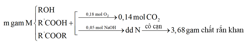 Hỗn hợp M gồm 1 alcohol X, carboxylic acid Y (đều no, hở, đơn chức) và ester Z tạo ra từ X và Y. Đốt cháy hoàn toàn m gam M cần dùng vừa đủ 0,18 mol O2, (ảnh 1)