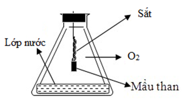 Hình vẽ sau đây mô tả thí nghiệm đốt cháy sợi dây sắt trong bình kín chứa oxi:  Cho các phát biểu sau:  (a) Lớp nước ở đáy bình nhằm mục đích tránh gây vỡ bình.  (b) Mẩu than có kích thước càng lớn thì phản ứng đốt dây sắt xảy ra càng mãnh liệt.  (c) Trong thí nghiệm trên, sắt đóng vai trò là chất bị khử.  (d) Vai trò của mẩu than để làm mồi cung cấp nhiệt cho phản ứng.  (e) Có thể đốt nóng sợi dây sắt trên ngọn lửa đèn cồn rồi đưa nhanh vào bình kín chứa oxi mà không cần dùng mẩu than.  Số phát biểu đúng là (ảnh 1)