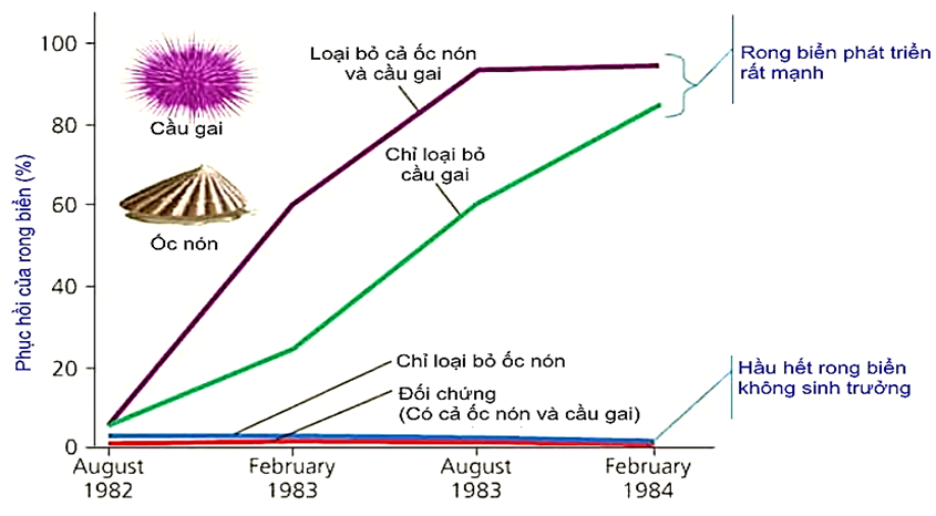 Z. J. Fletcher từ Trường Đại học Sydney, Australia cho rằng nếu cầu gai là nhân tố sinh học  (ảnh 1)