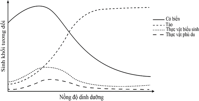 Phú dưỡng là hiện tượng môi trường nước có nhiều chất dinh dưỡng  (ảnh 1)