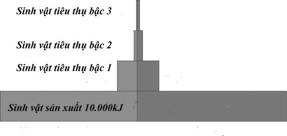 Với hiệu suất sinh thái là 10% thì sinh vật tiêu thụ bậc 3 trong chuỗi thức ăn  (ảnh 1)