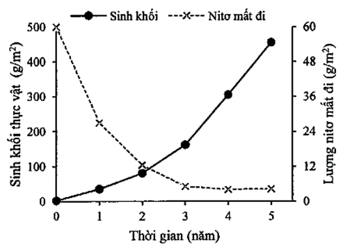 Hệ sinh thái rừng có vai trò quan trọng đối vởi các loài sinh vật và con người (ảnh 1)