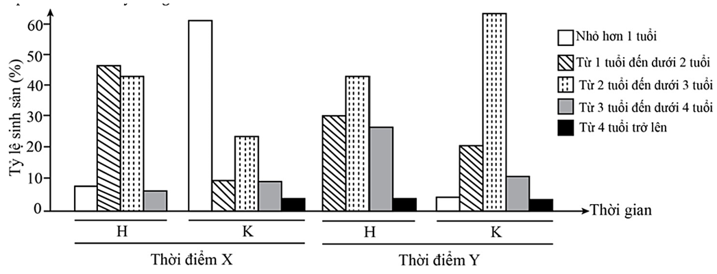 Cá mòi cờ hoa (Clupanodon thrissa) thành thục sau 1 năm tuổi (ảnh 1)