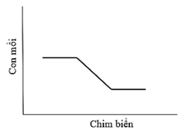 Biểu đồ nào sau đây phù hợp với quan điểm của nhà nghiên cứu 1 về mối quan hệ giữa số lượng con mồi với quần thể chim biển? (ảnh 3)