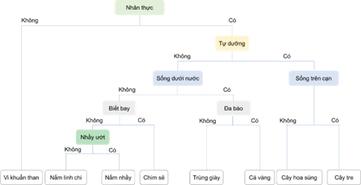 a) Hãy sắp xếp các sinh vật trên vào các giới sinh vật. b) Sử dụng khóa lưỡng phân để phân biệt các sinh vật trên. (ảnh 2)