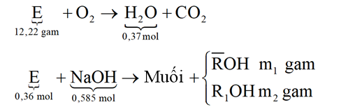 Hỗn hợp E gồm ba ester mạch hở, đều có bốn liên kết pi (π) trong phân tử, trong đó có một ester đơn chức là ester của metacrylic acid và hai ester hai chức là đồng phân của nhau. (ảnh 1)