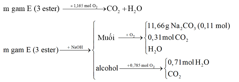 Hỗn hợp E chứa ba ester mạch hở (không chứa chức khác). Đốt cháy hoàn toàn m gam E cần dùng vừa đủ 1,165 mol \[{O_2}.\]Mặt khác, thủy phân hoàn toàn (ảnh 1)