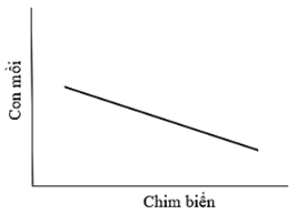 Biểu đồ nào sau đây phù hợp với quan điểm của nhà nghiên cứu 1 về mối quan hệ giữa số lượng con mồi với quần thể chim biển? (ảnh 4)