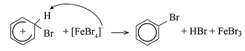 Trình bày cơ chế phản ứng khi cho benzene tác dụng với Br2, xúc tác ...