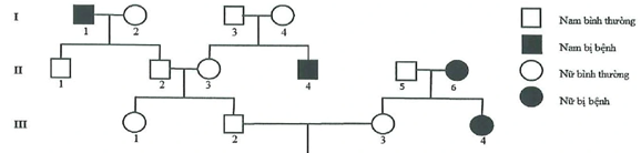 Phả hệ sau đây mô tả sự di truyền bệnh phêninkêtô niệu ở người do một trong hai alen của một gen quy định. Theo lí thuyết, có tối đa bao nhiêu người trong phả hệ sau xác định được chính xác kiểu gen? (ảnh 1)