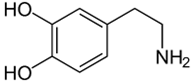 Phát biểu sau đúng hay sai? Dopamine có tên thay thế là 4-(2-aminoethyl)benzene-1,4-diol có công thức cấu tạo như sau: (ảnh 1)
