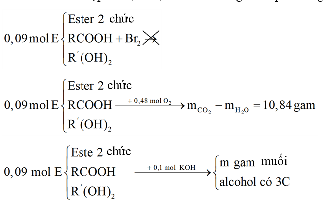 E là hỗn hợp chứa một acid đơn chức, một alcohol hai chức và một ester hai chức (đều mạch hở). Người ta cho E qua dung dịch nước \[B{r_2}\]t (ảnh 1)