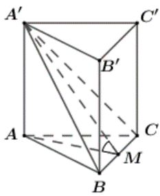 Cho hình lăng trụ tam giác đều \(ABC.A'B'C'\) có \(AB = a,\,\,AA' = \sqrt 2 .\) Góc giữa đường thẳng \(A'C\) và mặt phẳng \(\left( {ABB'A'} \right)\) bằng bao nhiêu độ? Đáp án: ………. (ảnh 1)