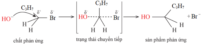 Trình bày cơ chế của phản ứng thuỷ phân 1 – bromobutane bằng dung dịch NaOH. (ảnh 2)