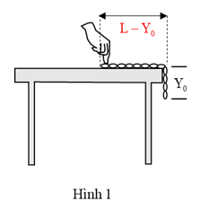 Trước khi buông tay, chiều dài của sợi dây xích nằm trên mặt bàn bằng 	 (ảnh 1)