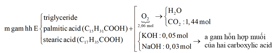 Hỗn hợp E gồm triglyceride X, palmitic acid và stearic acid. Đốt cháy hoàn toàn m gam E cần vừa đủ 2,06 mol \[{O_2}\], thu được \[{H_2}O\]và 1,44 mol \[C{O_2}\]. Mặt khác, m gam E phản ứng tối đa với dung dịch chứa 0,05 mol KOH và 0,03 mol NaOH thu được a gam hỗn hợp muối của hai carboxylic acid. Giá trị của a bằng bao nhiêu? Đáp án: … (ảnh 1)