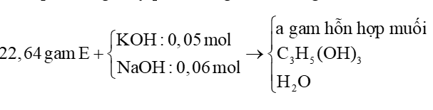 Hỗn hợp E gồm triglyceride X, palmitic acid và stearic acid. Đốt cháy hoàn toàn m gam E cần vừa đủ 2,06 mol \[{O_2}\], thu được \[{H_2}O\]và 1,44 mol \[C{O_2}\]. Mặt khác, m gam E phản ứng tối đa với dung dịch chứa 0,05 mol KOH và 0,03 mol NaOH thu được a gam hỗn hợp muối của hai carboxylic acid. Giá trị của a bằng bao nhiêu? Đáp án: … (ảnh 2)