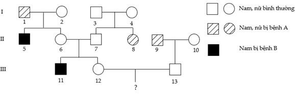 Phả hệ sau đây mô tả sự di truyền bệnh A và bệnh B. Biết rằng mỗi bệnh đều do 1 trong 2 alen của 1 gen quy định; các gen phân li độc lập; alen trội là trội hoàn toàn; người I.1 không mang alen gây bệnh B.  (ảnh 1)