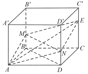 Cho hình hộp \(ABCD.A'B'C'D'\) có \(AA' = a\). Gọi \[M,\,\,N\] là hai điểm thuộc hai cạnh \(BB'\) và \({\rm{D}}D'\) sao cho (ảnh 1)