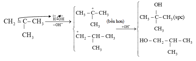 Trình bày cơ chế phản ứng cộng nước (xúc tác H+) vào 2 – methylpropene và xác định sản phẩm chính theo quy tắc Markovnikov. (ảnh 1)