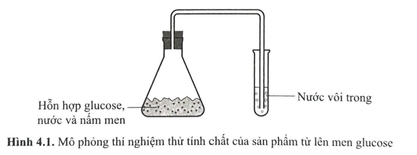 Trong quá trình sản xuất rượu vang, người ta sử dụng nấm men Saccharomyces cerevisiae để lên men glucose và fructose (có trong dịch ép trái nho) tạo thành ethanol. Một học sinh thực hiện thí nghiệm thử tính chất của  (ảnh 1)