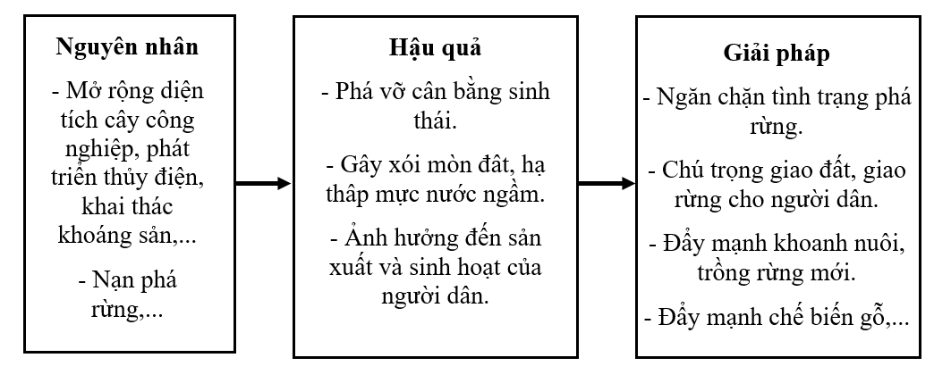 Vẽ sơ đồ thể hiện nguyên nhân, hậu quả của việc suy giảm rừng và giải pháp để bảo vệ rừng ở vùng Tây Nguyên. (ảnh 1)