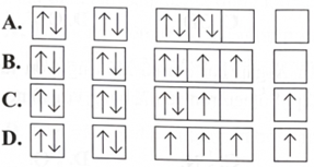 Một nguyên tử có 8 electron trong lớp vỏ. Sơ đồ nào sau đây biểu diễn cấu hình electron theo ô orbital của nguyên tử đó? (ảnh 1)