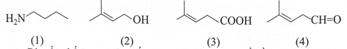 Cho các chất có công thức cấu tạo sau: Có mấy chất trong các chất trên có tín hiệu trên phổ hồng ngoại ở khoảng tần số 1 750 – 1 680 cm-1? (ảnh 1)