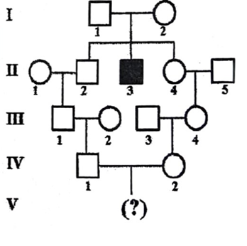 Phả hệ bên mô tả gia đình có một người II3 mắc một bệnh di truyền hiếm gặp (ảnh 1)