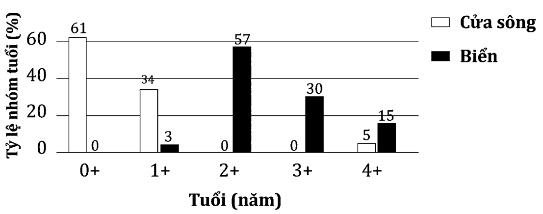 Cá mòi có môi trường sống khá rộng, chúng có thể sống ở nước mặn, nước ngọt hay nước lợ (ảnh 1)