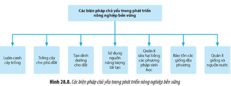 Quan sát Hình 28.8, giải thích vai trò của các biện pháp trong nông nghiệp bền vững. (ảnh 1)