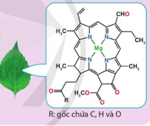 Chlorophyll b là một phức chất tạo nên màu xanh của lá. Hãy cho biết: a) Số phối trí của nguyên tử trung tâm b) Số phối tử trong một phân tử phức chất. c) Dung lượng phối trí của phối tử. (ảnh 1)