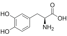 Levodopa (L-dopa) là tiền chất của dopamin, thường được sử dụng như một chất thay thế dopamine để điều trị bệnh Parkinson. L-dopa có công thức cấu tạo như hình bên.Cho các phát biểu sau:       (a) L-dopa làm nhạt màu nước brom.       (b) 1 mol L-dopa phản ứng tối đa với 4 mol H2, có xúc tác Ni, to.       (c) L-dopa là một a-amino axit.       (d) Công thức phân tử của L-dopa là C8H11NO4.       (e) 1 mol L-dopa phản ứng tối đa với 3 mol KOH trong dung dịch.  Số phát biểu đúng là (ảnh 1)