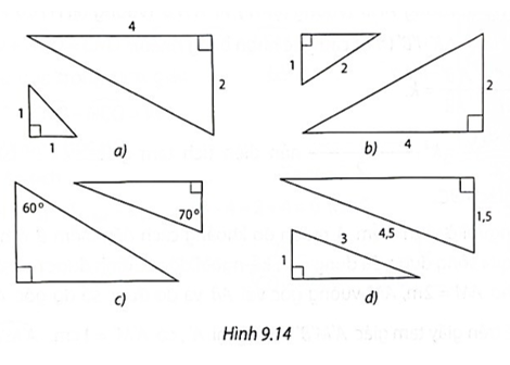 Cặp tam giác vuông nào đồng dạng với nhau trong Hình 9.14? (ảnh 1)