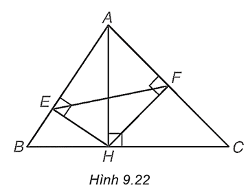 Trong Hình 9.22, cho AH, HE, HF lần lượt là các đường cao của các tam giác (ảnh 1)