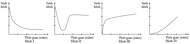 Giả sử sự thay đổi sinh khối trong quá trình diễn thế sinh thái của 4 quần xã sinh vật được mô tả ở các hình I, II, III và IV. (ảnh 1)