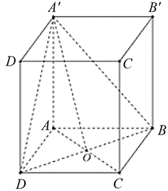 Cho hình lập phương \[ABCD.A'B'C'D'\], gọi \[\varphi \] là góc giữa hai mặt phẳng \(\left( {A'BD} \right)\) và \(\left( {ABC} \right).\) Tính \({\tan ^4}\varphi .\) Đáp án: ………. (ảnh 1)