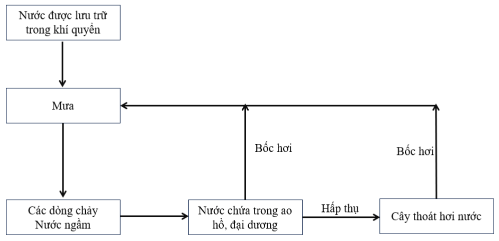 Vẽ sơ đồ khái quát của chu trình nước, carbon và nitrogen. (ảnh 1)