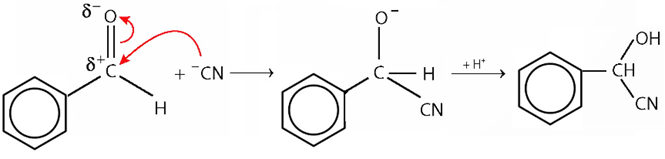 Benzaldehyde cyanohydrin có thể được tạo thành từ phản ứng hoá học giữa benzaldehyde và HCN. Viết phương trình hoá học và giải thích bằng cơ chế phản ứng. (ảnh 3)