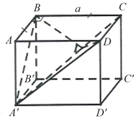 Cho hình lập phương \(ABCD.A'B'C'D'\) có cạnh bằng \[a.\] Số đo của góc giữa \[\left( {BA'C} \right)\] và \[\left( {DA'C} \right)\] bằng bao nhiêu độ? Đáp án: ………. (ảnh 1)