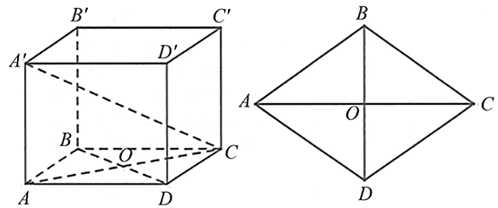 Cho hình hộp đứng \(ABCD.A'B'C'D'\) có đáy \({\rm{ABCD}}\) là một hình thoi cạnh \({\rm{a}},\) \(\widehat {{\rm{ABC}}} = 120^\circ ,\)\({\rm{A}}A' = 4{\rm{a}}\). Biết \({\rm{a}} = 4\), tính khoảng cách giữa hai đường thẳng \(A'{\rm{C}}\) và \({\rm{B}}B'.\) Đáp án: ………. (ảnh 1)