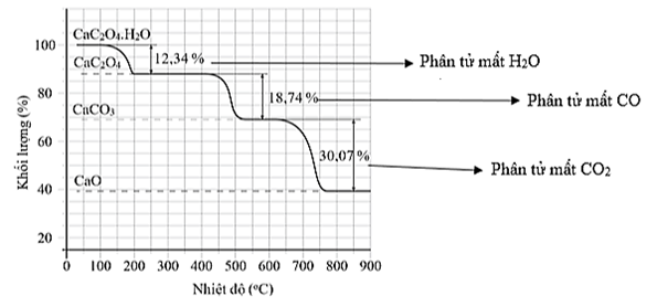 Dựa vào kết quả trên, hãy xác định độ giảm khối lượng trong quá trình nung từ thành \({\rm{CaO}}\) do các chất nào sau đây gây ra? 	 (ảnh 2)