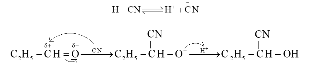 Viết phương trình hoá học của phản ứng xảy ra giữa C2H5CHO và HCN. Viết cơ chế của phản ứng để giải thích quá trình hình thành sản phẩm. (ảnh 2)