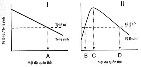 Hai đồ thị dưới đây mô tả mối quan hệ giữa tỷ lệ sinh, tỷ lệ tử vong và mật độ quần thể ở hai loài I và II. (ảnh 1)