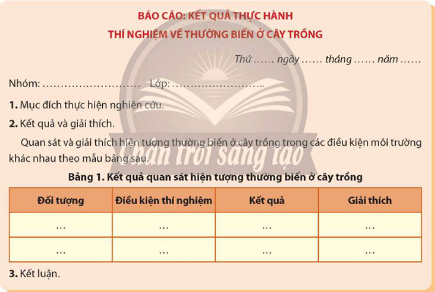 Viết và trình bày báo cáo theo mẫu: (ảnh 1)