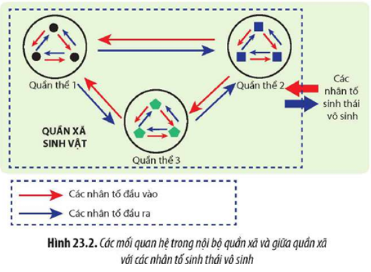 Trình bày các mối quan hệ được thể hiện trong Hình 23.2. Cho ví dụ minh hoạ. (ảnh 1)