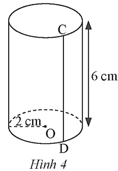 Quan sát và cho biết đường sinh, độ dài bán kính đáy và chiều cao của hình trụ trong Hình 4. (ảnh 1)