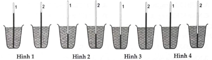 Hình vẽ nào bên dưới phù hợp với trường hợp nhiệt 1 được đặt vào một cốc đựng nước nóng còn nhiệt kế 2 được đặt vào một cốc đựng nước lạnh? (ảnh 1)