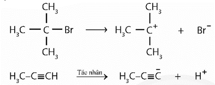 Hãy chỉ ra tiểu phân carbocation và carbanion hình thành trong Ví dụ 5. Ví dụ 5: (ảnh 1)